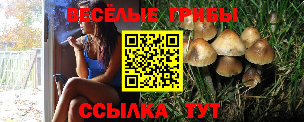 Псилоцибиновые грибы Magic Shrooms Приморско-Ахтарск