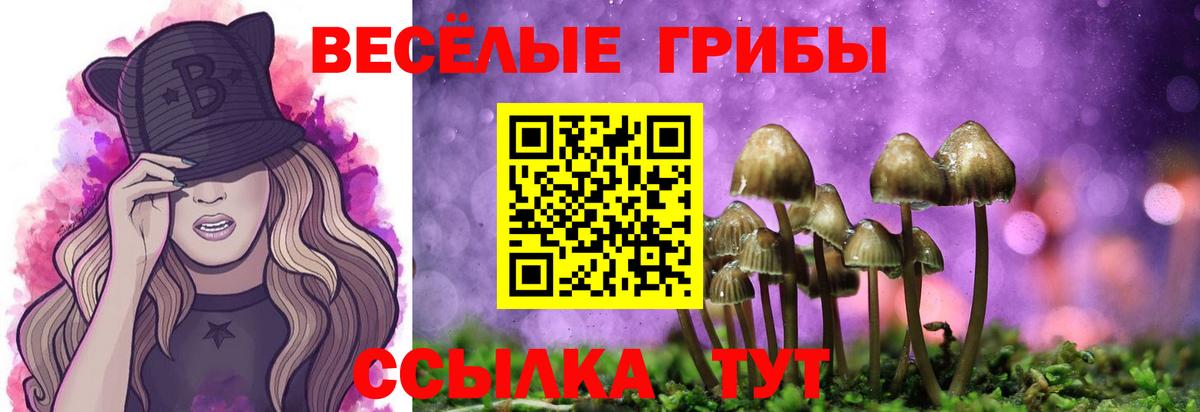 Приморско-Ахтарск  Псилоцибиновые грибы Cubensis  дарнет шоп  Вход с VPN  Псилоцибиновые грибы Magic Shrooms 